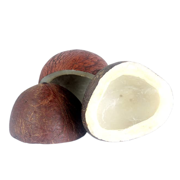 Khobra 500g